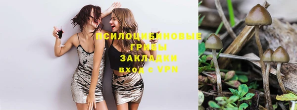 хмурый Осташков