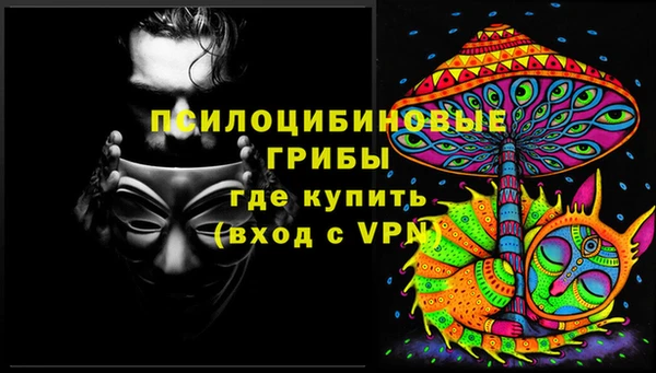 трава Осинники