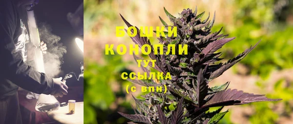 дживик Пестово